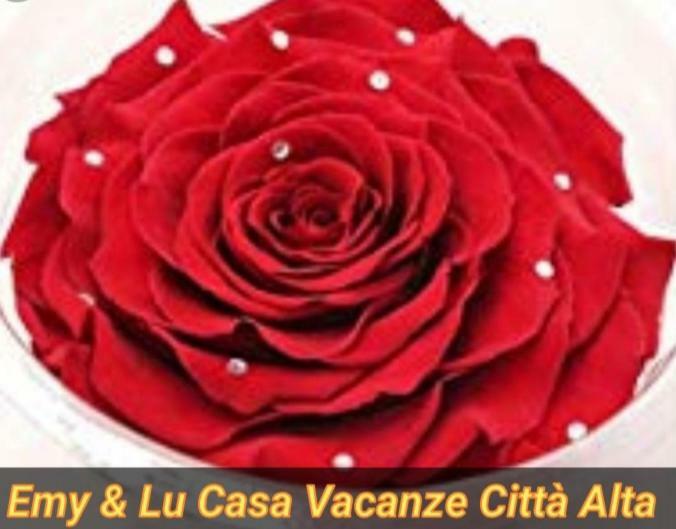 Emy & Lu Casa Vacanza Citta' Alta Bergame Extérieur photo
